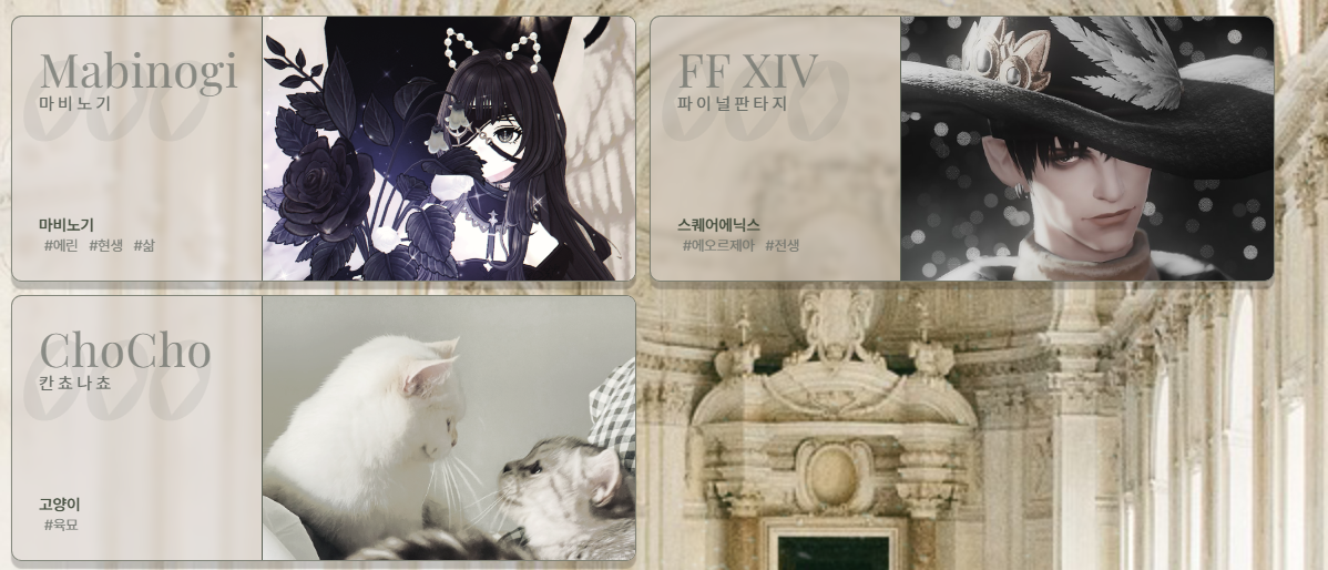 시리즈 스킨을 안사셧나요