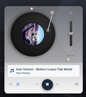 바이닐은 최고다...