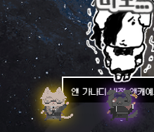 사진찍으러 갔더니 가출한 펫