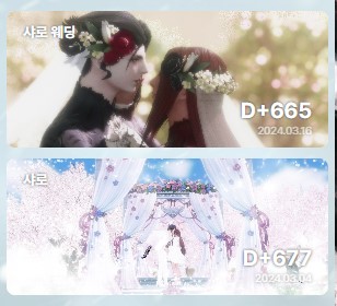 정말 아름다운 디데이스킨