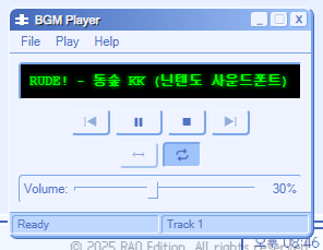 BGM 스킨도 예쁘게